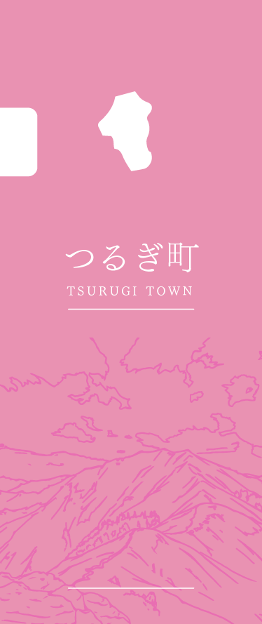 area_tsurugi